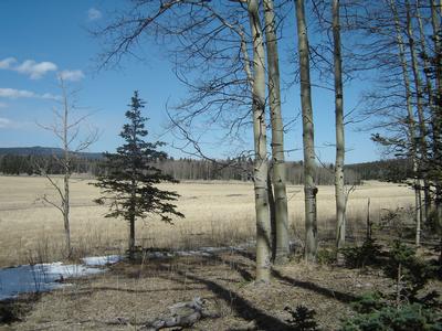 Lot 335 AF Chalets 2C Amended